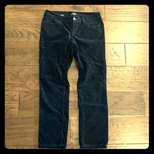 Ann Taylor Loft Straight Leg Pants